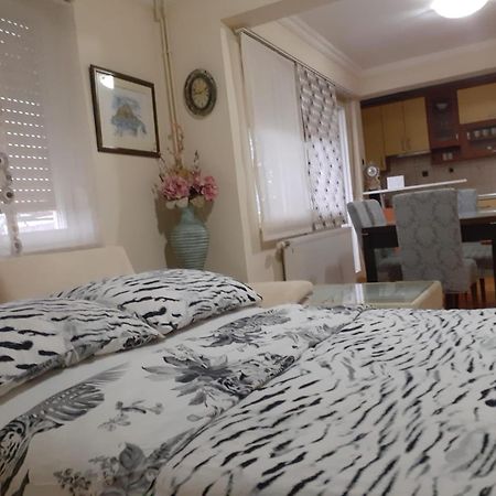 Spacious 80M2 Apartment In The Center Ljubuški Екстериор снимка